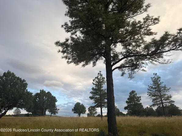 34D Walter Hagen Dr, Alto, NM 88312