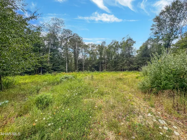 0 Harding Ave, Revloc, PA 15948