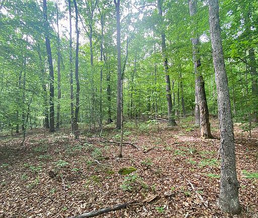 4th image of Bowlers Mill Run #0