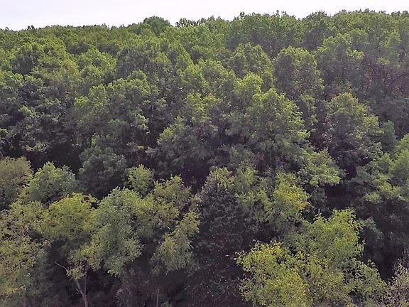 2nd image of 664 Grat Strasse Rd