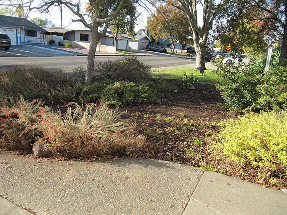 4th image of 368 E Pacific Ave