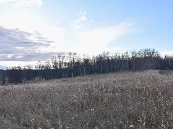 Township Road 574 Rr #93, Rural Saint Paul County, AB T0A 3A0