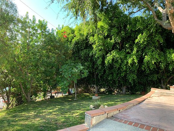 Front yard