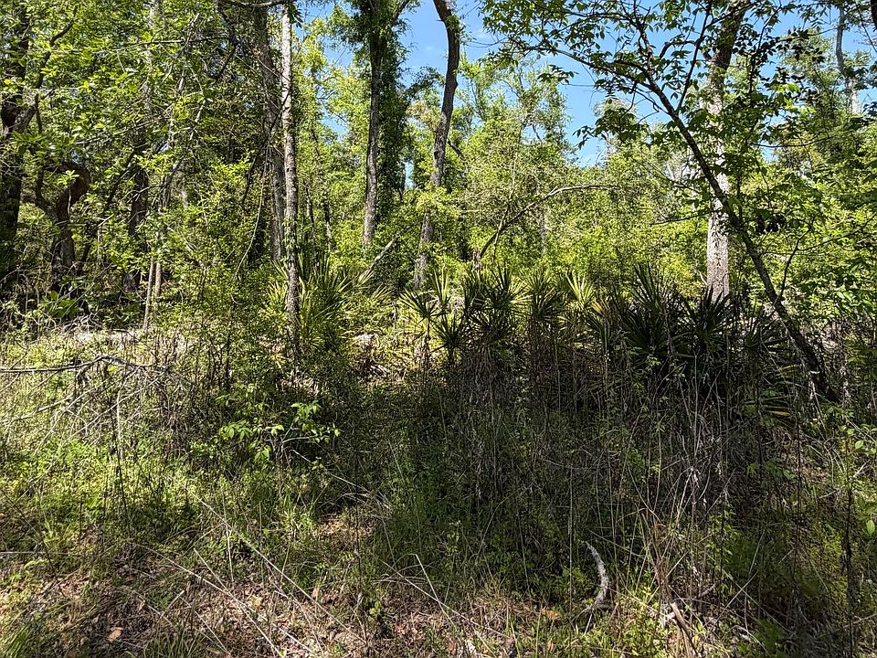 1st image of 20 Suwannee Ave
