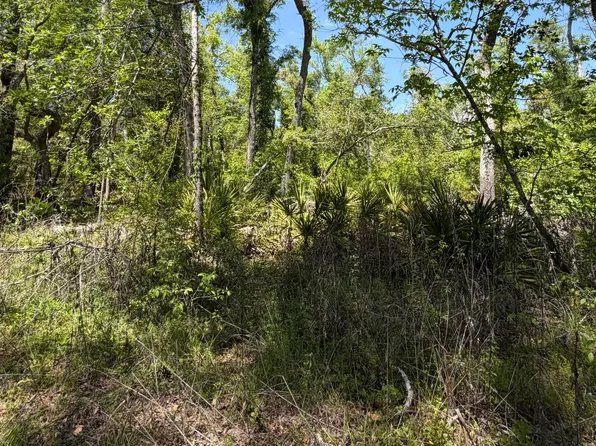 20 & 21 Srp Est, Live Oak, FL 32060