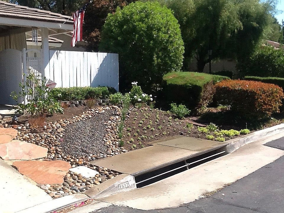 Front Yard