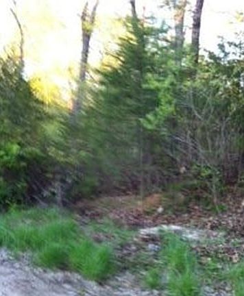 3rd image of 1118 Cricket Hollow Ct