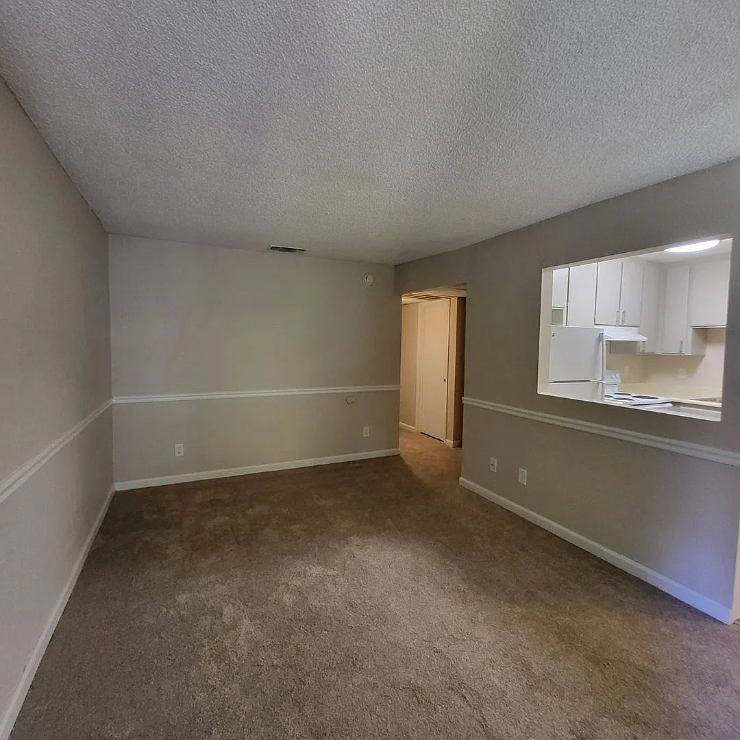 Olive Glen — Photo 3