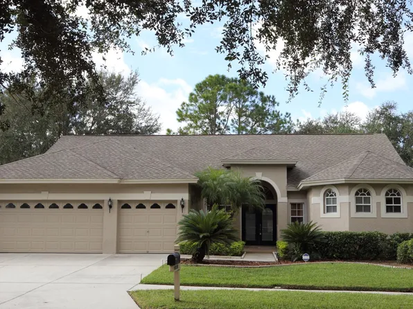 19137 Wind Dancer St, Lutz, FL 33558