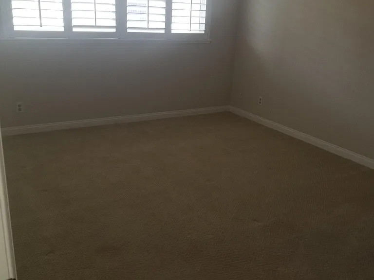 9665 Pettswood Dr — Photo 6