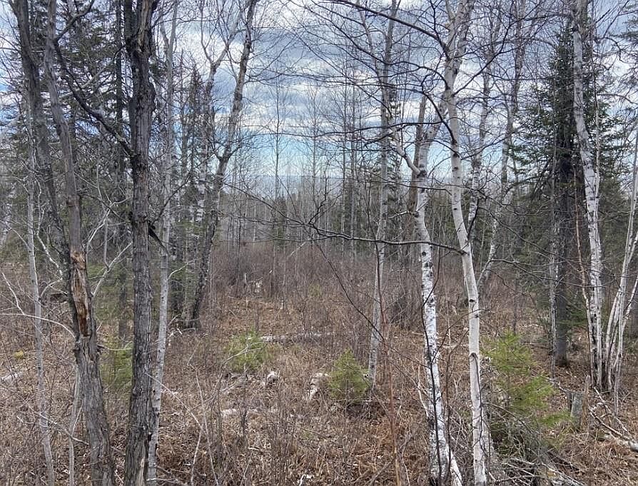 1st image of 0 Aspen Ln