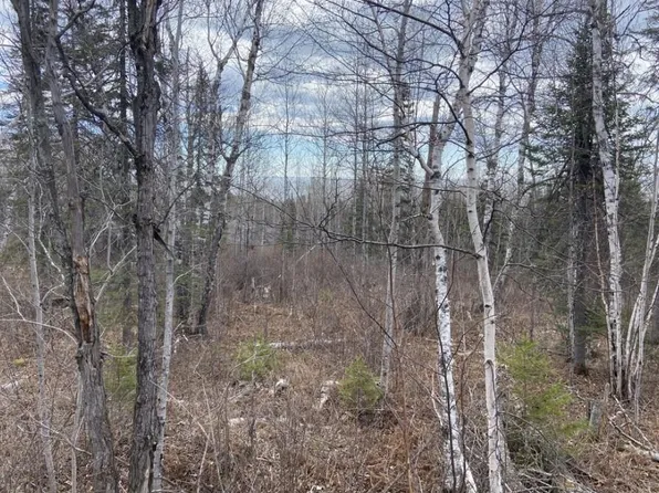 0 Aspen Ln, Silver Bay, MN 55614