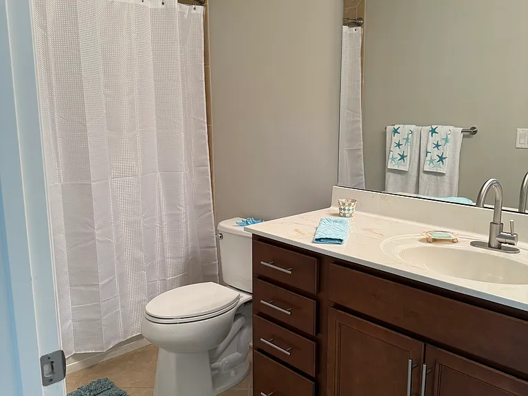 Guest bath. Shower & tub combo