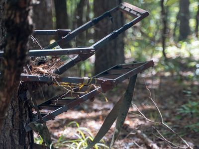 0 County Road 300, Cherry Valley, AR, 72324