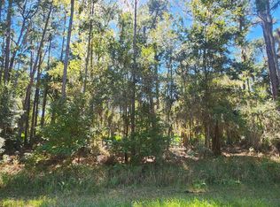 205 Terri Ave, Georgetown, FL 32139