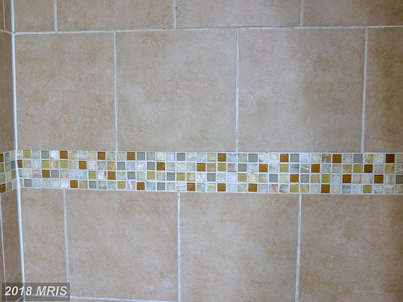 Lower level bathroom shower