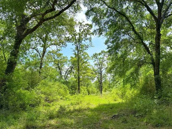 100 Ac Cres #408, Normangee, TX 77871