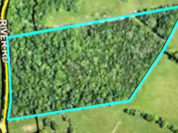 Lot 0 River Rd, Auburn, KY 42206