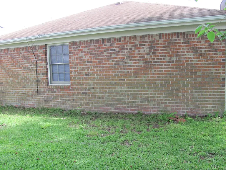 Back of the house