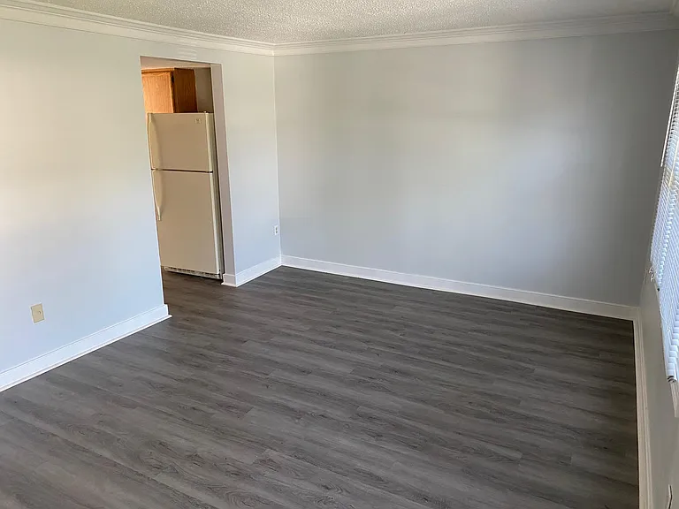 9732 Springfield Woods Cir — Photo 5