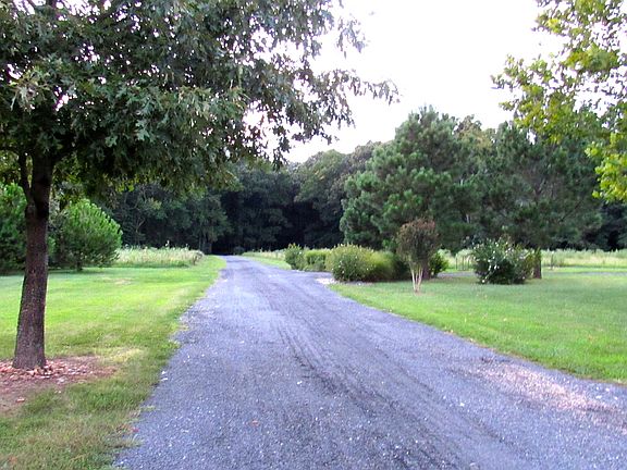 Drive way view from Garage