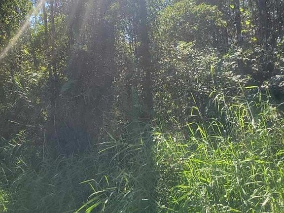 2nd image of Paradise Cir Lot 27