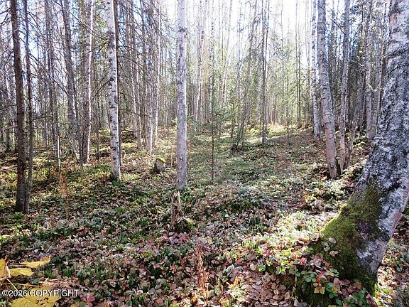 2nd image of 1801 N Claudia Rd