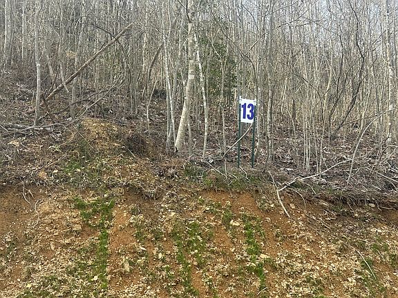 3rd image of 13 Sleepy Hollow Rd