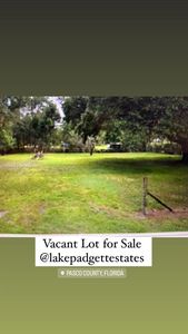 3753 Saint Augustine Pl, Land O Lakes, FL, 34639