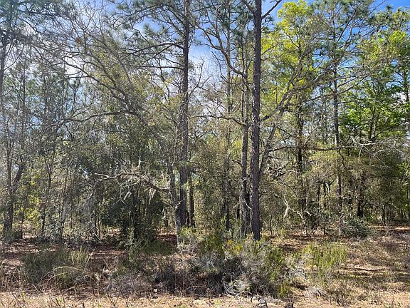 4th image of 106 Deland Avenue