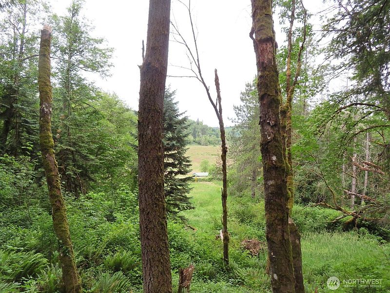 4th image of 21720 Zenkner Valley Road SW