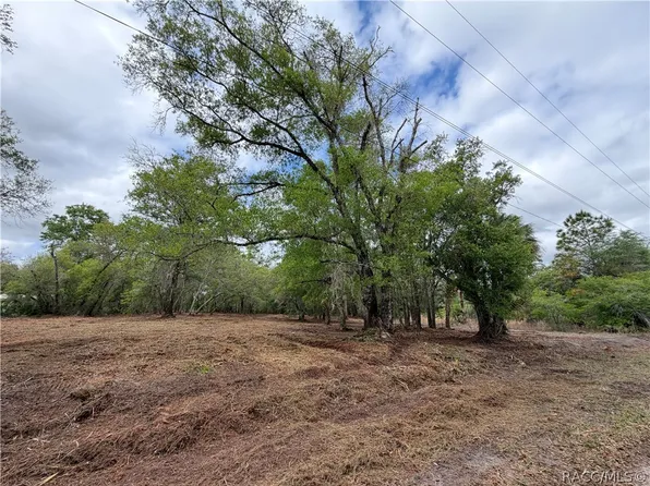 11932 W Flaxen Dr, Crystal River, FL 34428