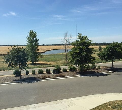 3rd image of 3843 Po River Way