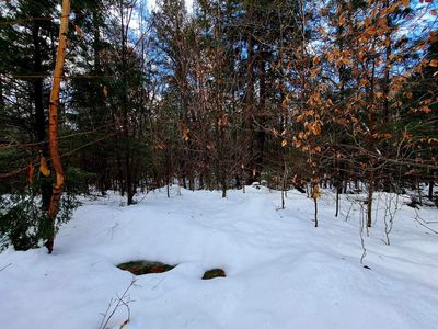 Waterthorn Road Lot 23 of Waterthorn Subdivision, Thornton, NH, 03285