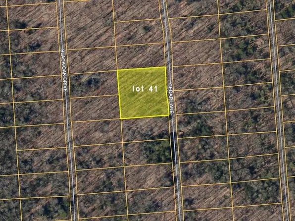 Cedar Ln, Oakland, MD 21550