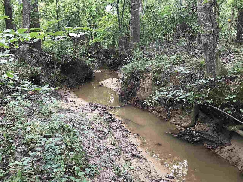 2nd image of 152 Three Point Ln