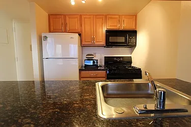 Rented by Maison International