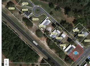 11646 Martell Ct, Leesburg, FL 34788