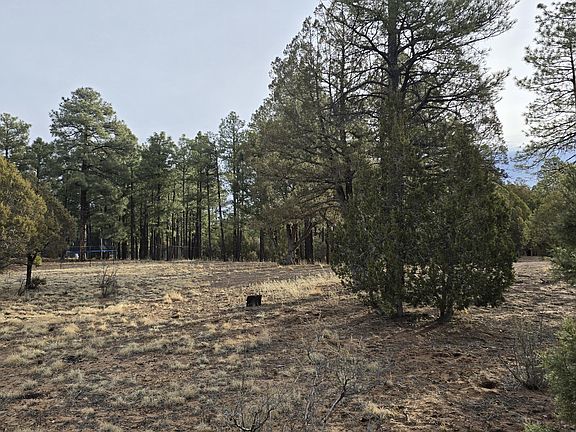 5th image of 2218 Mountain Lion Ln