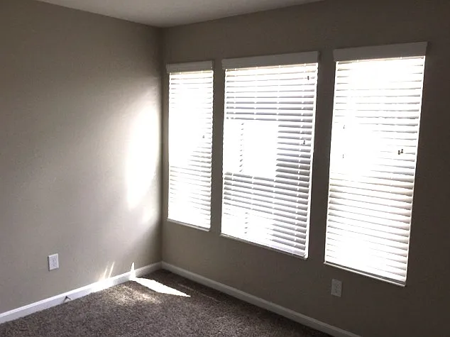 9674 Sweetwater Ln — Photo 11