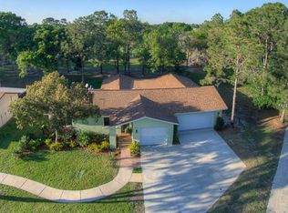12801 Starling Dr, Odessa, FL 33556