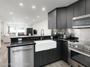 830 E Hopkins Ave APT 101, Aspen, CO 81611