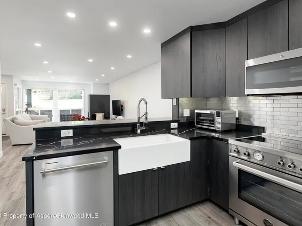 830 E Hopkins Ave APT 101, Aspen, CO 81611