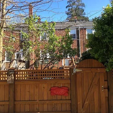 Fenced Backyard