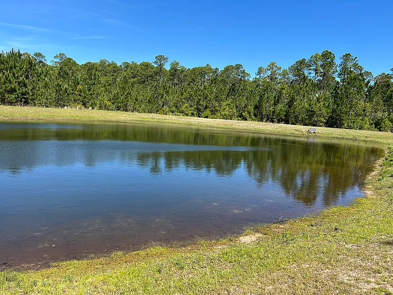 One of the 2 Ponds behind the forest at Manchester subdivision