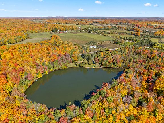 5th image of Hlywa Dr