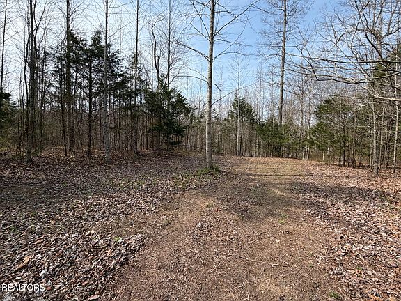 2nd image of Walker Rd