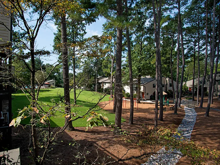 Nature View + Playground