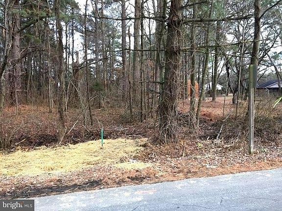 2nd image of 219 Penny Ln
