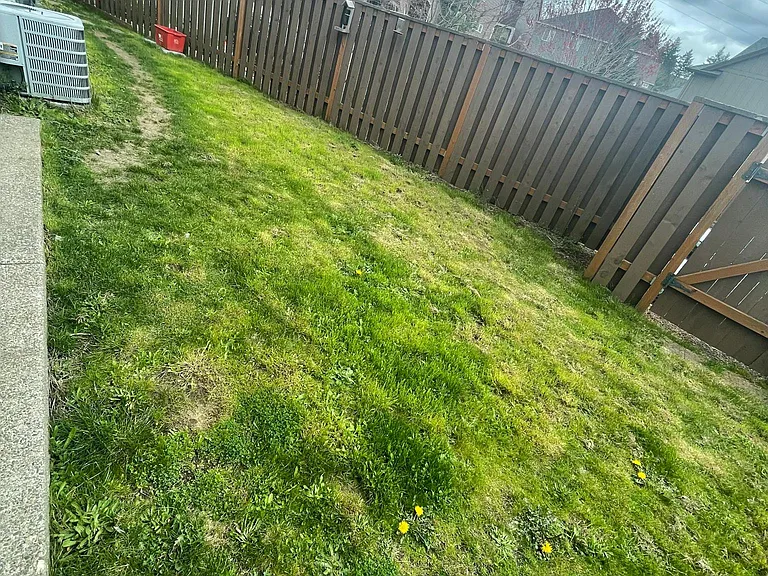 16425 NW Rossetta St — Photo 16